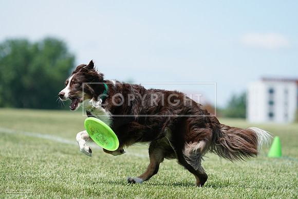 RielVisuals_20240525_120038_SJR08300