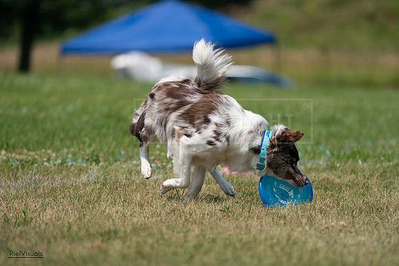 RielVisuals_20240727_133710_SJR07862