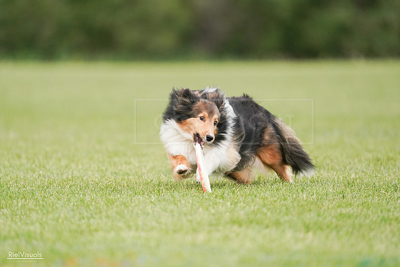 RielVisuals_20240527_140937_SJR01685