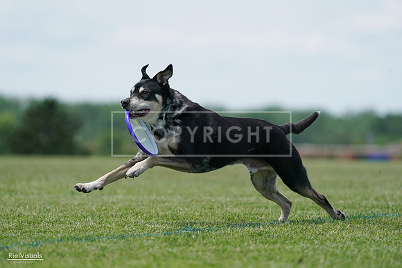 RielVisuals_20240525_123057_SJR00108