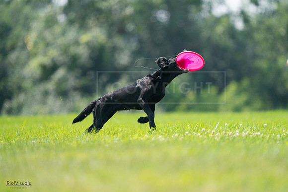 RielVisuals_20240727_125411_SJR06331