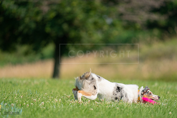 RielVisuals_20240727_092227_SJR06056