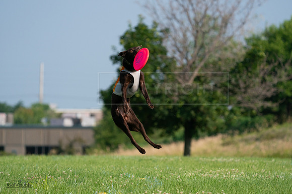 RielVisuals_20240727_092508_SJR06248