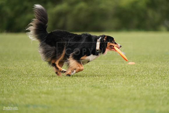 RielVisuals_20240527_133152_SJR00097