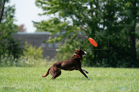 RielVisuals_20240728_151025_SJR00214