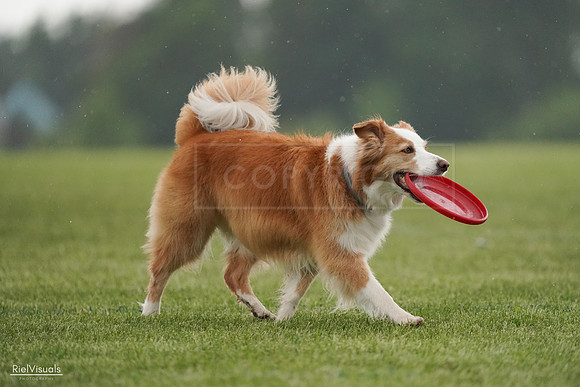RielVisuals_20240526_094013_SJR00716