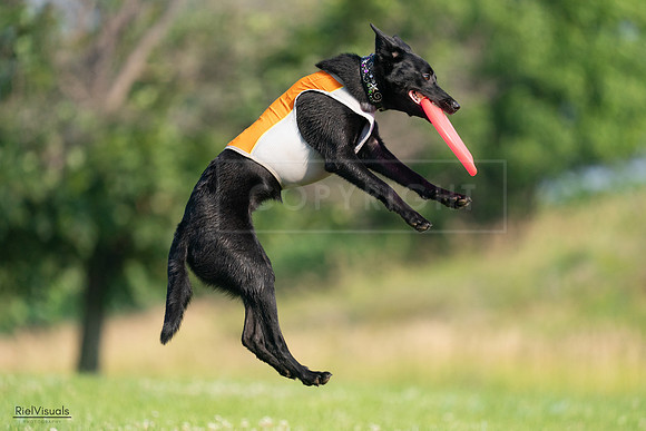RielVisuals_20240727_093307_SJR06758