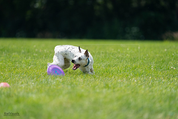 RielVisuals_20240728_140001_SJR07730