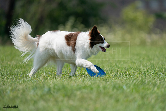RielVisuals_20240728_145347_SJR09478