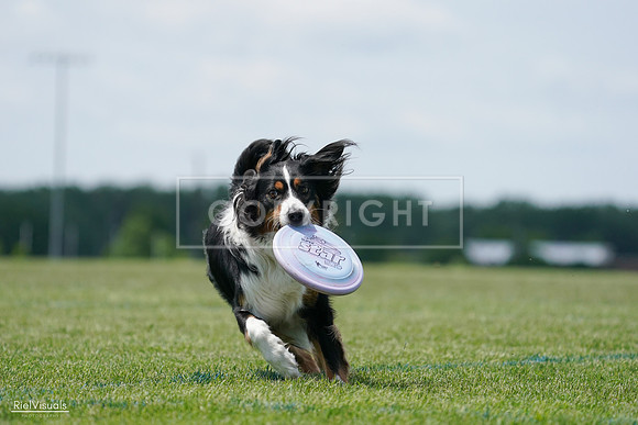RielVisuals_20240525_122824_SJR09945