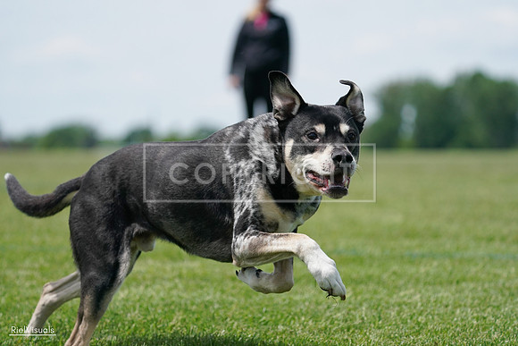 RielVisuals_20240525_123129_SJR00178