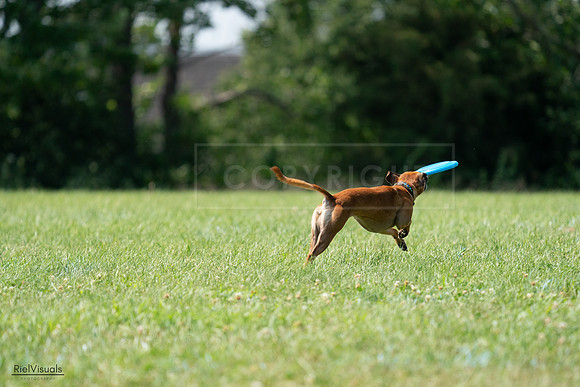 RielVisuals_20240728_150203_SJR09855