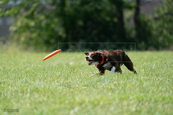 RielVisuals_20240728_151106_SJR00277