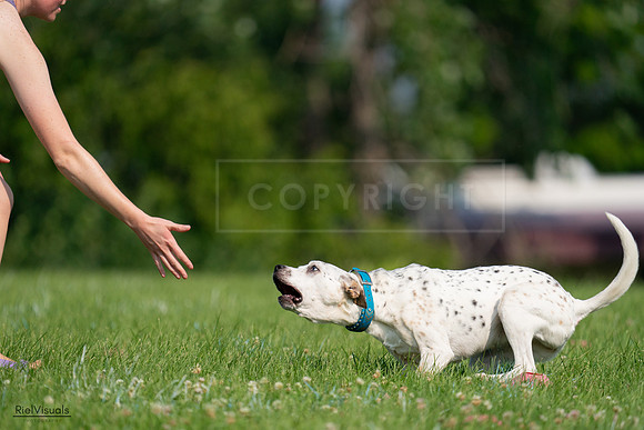 RielVisuals_20240727_095416_SJR07972