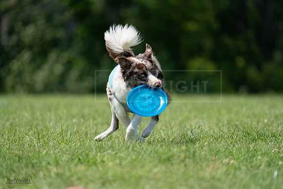 RielVisuals_20240728_142333_SJR08203