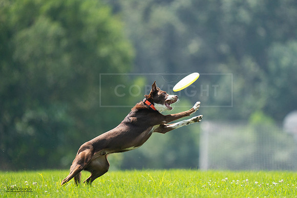 RielVisuals_20240727_123242_SJR05823
