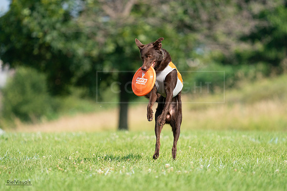 RielVisuals_20240728_095927_SJR06923