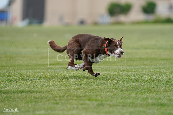 RielVisuals_20240525_162515_SJR04355
