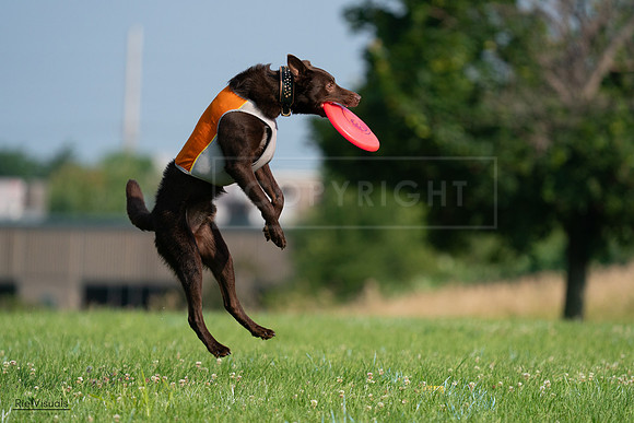 RielVisuals_20240727_092456_SJR06205