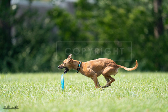 RielVisuals_20240728_150215_SJR09893