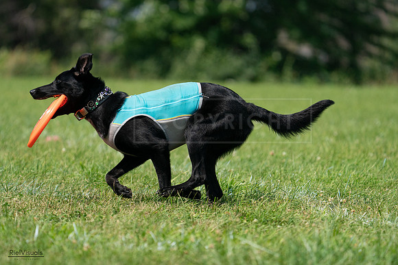 RielVisuals_20240728_114914_SJR02085