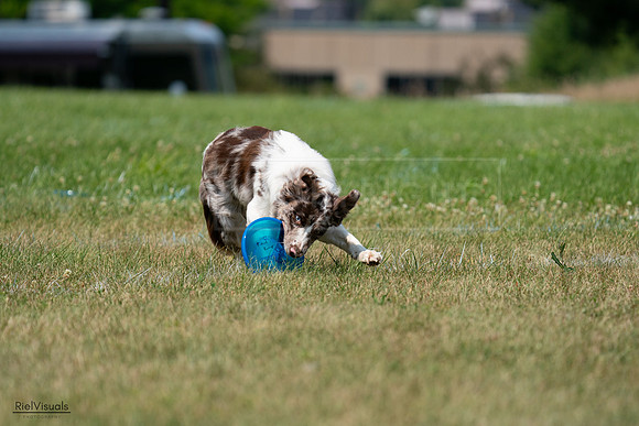 RielVisuals_20240727_133723_SJR07874