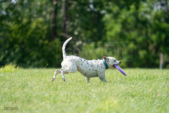 RielVisuals_20240728_151614_SJR00490