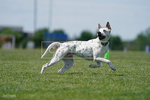 RielVisuals_20240525_120300_SJR08394