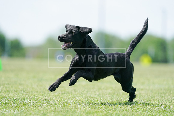 RielVisuals_20240525_121040_SJR08976