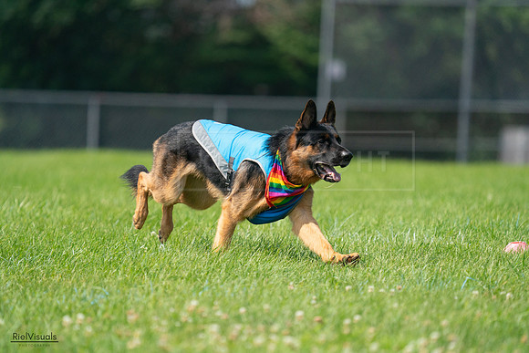 RielVisuals_20240728_104238_SJR09027