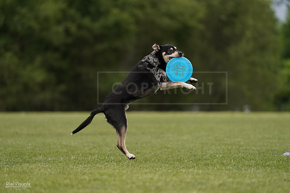 RielVisuals_20240526_134427_SJR08890