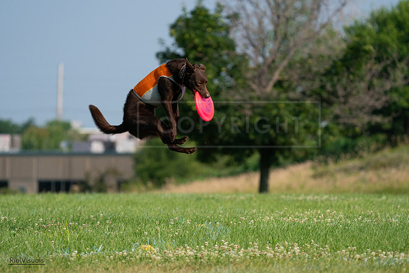 RielVisuals_20240727_092514_SJR06270