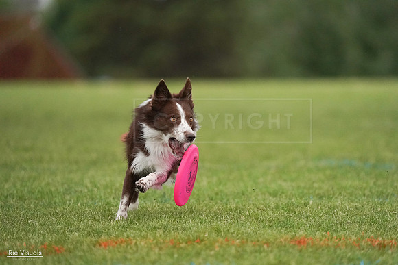 RielVisuals_20240527_091411_SJR06556