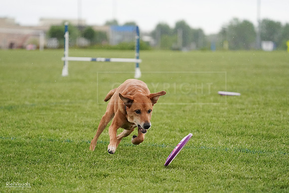 RielVisuals_20240526_093706_SJR00612
