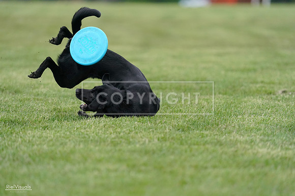 RielVisuals_20240525_170457_SJR06015
