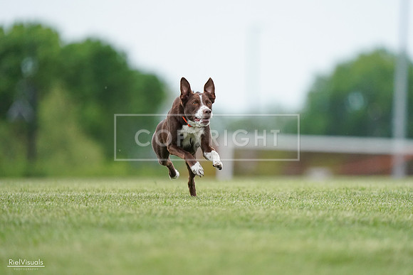 RielVisuals_20240525_162545_SJR04411