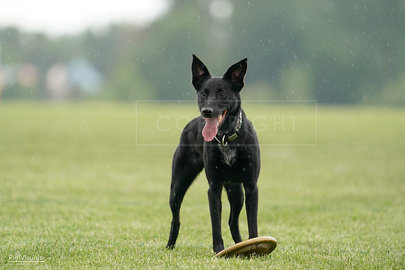 RielVisuals_20240526_092446_SJR09939