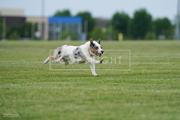RielVisuals_20240525_165224_SJR05618