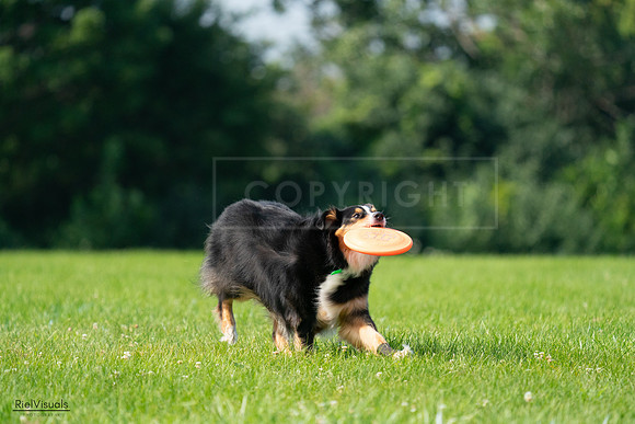 RielVisuals_20240728_100314_SJR07062