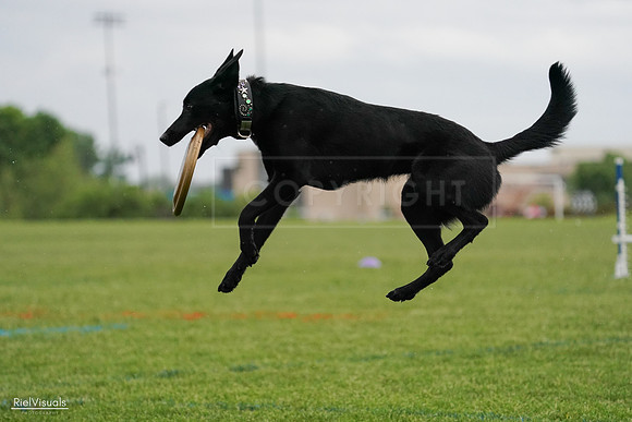 RielVisuals_20240526_092228_SJR09756