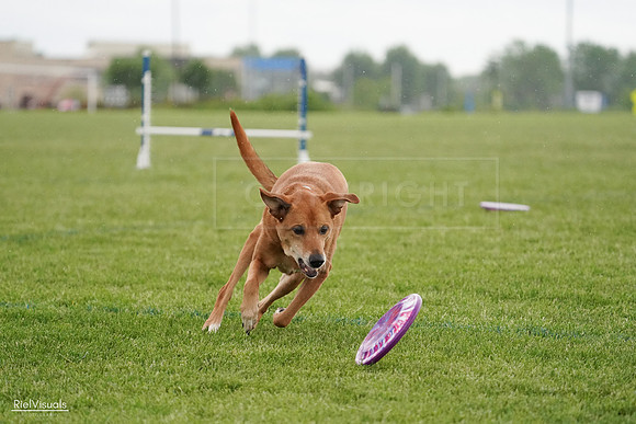 RielVisuals_20240526_093706_SJR00611