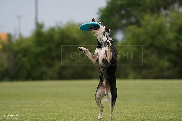RielVisuals_20240526_134431_SJR08899