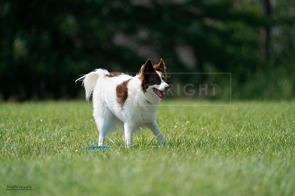 RielVisuals_20240728_145343_SJR09466
