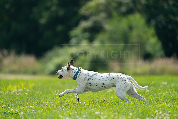 RielVisuals_20240728_140018_SJR07760
