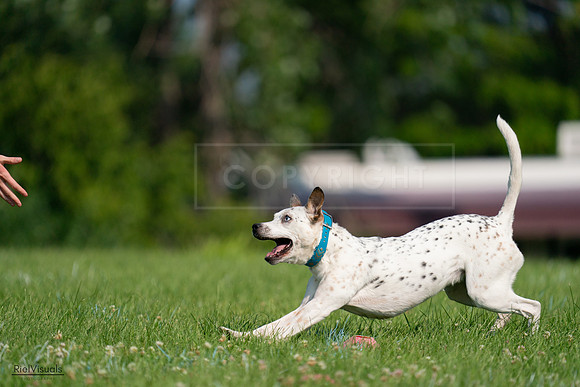 RielVisuals_20240727_095416_SJR07970