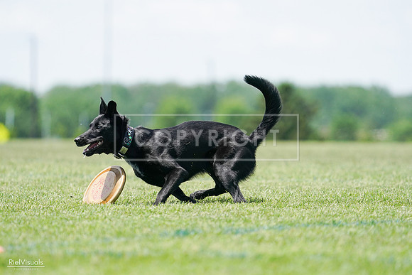 RielVisuals_20240525_122459_SJR09775