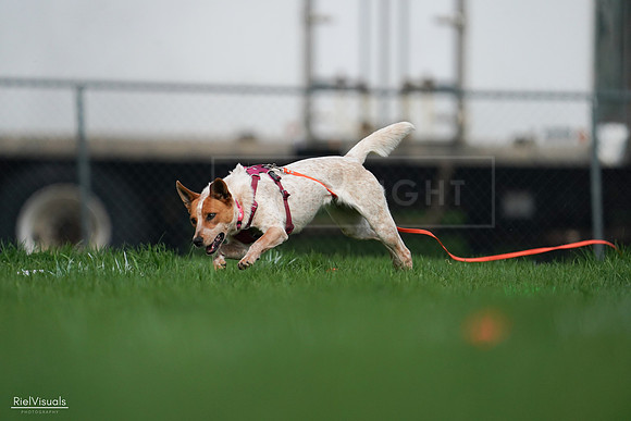 RielVisuals_20240506_172310_SJR04506