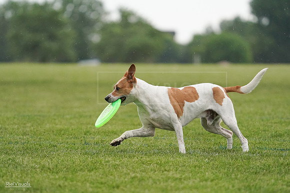 RielVisuals_20240526_092106_SJR09681