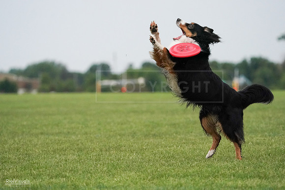 RielVisuals_20240527_091939_SJR06884