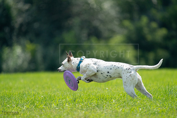 RielVisuals_20240728_140056_SJR07843